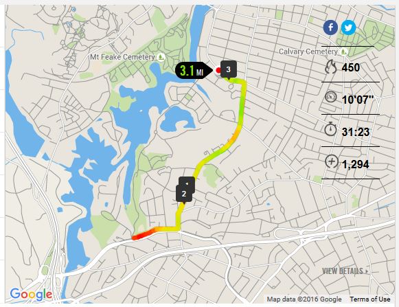 NikePlus Lyons Park Run